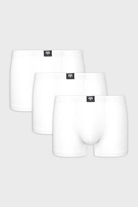 3 PACK boxeri bărbătești CECEVA, in cutie tip doza 3 PACK boxeri bărbătești CECEVA, in cutie tip doza