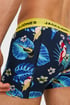 3 PACK Boxerky JACK AND JONES Flower bird 3p12194104_box_09 - viacfarebná