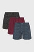 3er-PACK Boxershorts MEN-A Hobbies 3pATXmen_207_tre_08 - mehrfarbig