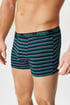 3er-PACK Baumwoll-Boxershorts Thomas 3pB366_box_04