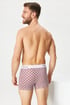 3PACK Boxeri Calvin Klein  Cotton Stretch 3pNB42862WW_box_03