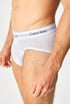 3PACK Slipy Calvin Klein Cotton Stretch I 3pNB4388_sli_09