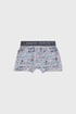 3PACK Travel fiú boxeralsó 3packGB4126_box_04 - többszínű