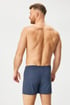 2PACK Bavlnené boxerky Pure Cotton 4d37f255-02bf-4a75-b002-122eae74bb00