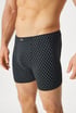 Bokserki bawełniane Brayan 74179P_box_04