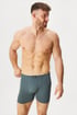 Bokserki bawełniane Brayan 74179P_box_05