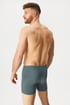 Bokserki bawełniane Brayan 74179P_box_06