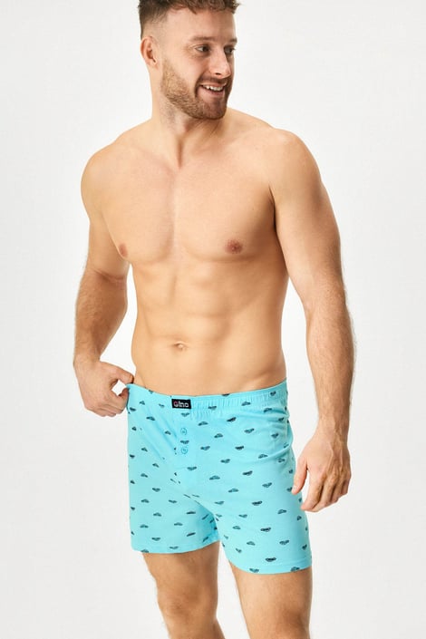 Памучни шорти Johnston Памучни шорти Johnston