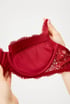 Podprsenka Elegant Charm Push-Up s vyjímatelnými vycpávkami 79ec0cfd-53e1-45d2-0e58-75982ec4d600