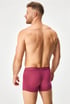 7PACK boxershorts MEN-A 7paATXmen_001_box_07