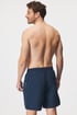 Badeshorts Drew 90129_02