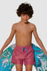 Пляжні шорти для хлопчиків Crab 93004_01