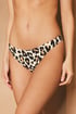 Slip costum de baie Freya Animal Instinct AS203985_kal_09