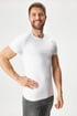 MEN-A Oscar pamutpóló ATXmen_304_tri_16