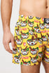 Шорти Represent Exclusive Ali Samurai food AliSamurai_tre_06