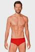 Obsessive Boldero Slip BolderoBriefs_sli_05