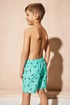 Chlapecké koupací šortky Shark BoyShort1_05