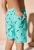 Chlapecké koupací šortky Shark BoyShort1_06