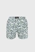 Zwemshort David 52 Lil palm DM22_B09_wht_02