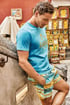 Badeshorts David 52 Sky and sand DM22_B15_sky_02