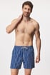 Badeshorts David 52 Vertical DM23_B25_05