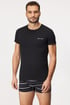 SET T-Shirt und Boxer Lamont EC1214_set_08