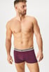 Baumwoll-Boxershorts FILA FU5331_box_06