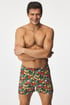 Boxershorts Karlos Vege Karlos_zelen_tre_02 - mehrfarbig