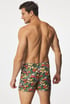 Boxershort Karlos Vege Karlos_zelen_tre_03 - meerkleurig