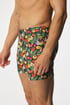 Boxershorts Karlos Vege Karlos_zelen_tre_04 - mehrfarbig