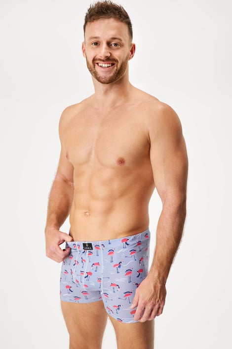 Bokserki bawełniane Kevin Flamingi II Bokserki bawełniane Kevin Flamingi II