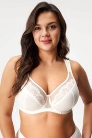 Modrček Luisse. nepodložen