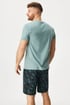 Moška kratka bombažna pižama Palms NMP399_pyz_03