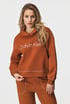 Hoodie Calvin Klein Copper mit Kapuze QS7040E_mik_01 - orange