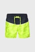 Пляжні шорти для хлопчиків Neon vibes T47604_4516_02