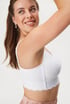 Bh Miss Mary Lace Dreams Bralette a0e2add6-4681-47e2-ff7c-cd7fbc61b000