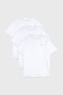 3er-PACK Herren-Baumwoll-T-Shirt Tommy Hilfiger Cotton ac1fa87f-c66e-420d-c746-2da3a4fe7700