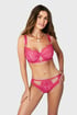 Klasične gaćice Pithaya Kiss cbd8a065-329b-4825-d236-1fd58fdb3e00
