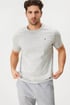 3er-PACK Herren-Baumwoll-T-Shirt Tommy Hilfiger Cotton da4a4b4e-f97e-4835-e040-ca5ab3c4e500