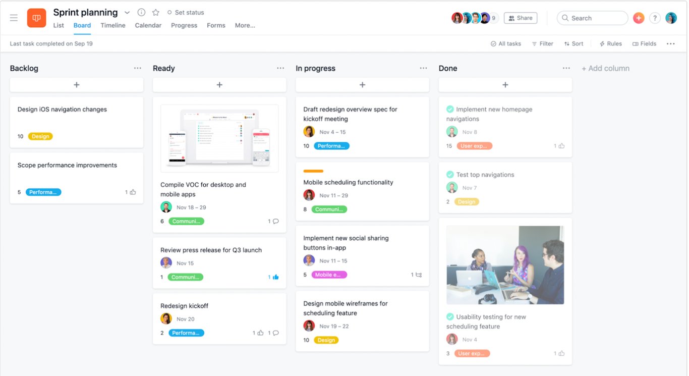 asana-image-1-tasks-1.png