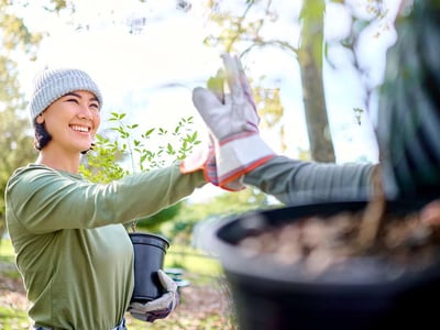 A group of Irish community members participating in a traditional Meitheal, working together in a field.