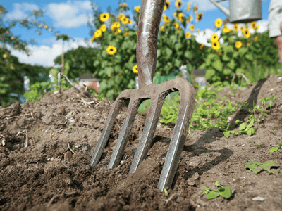 Garden soil with gardening fork for planting and community gardening activities in Ireland.
