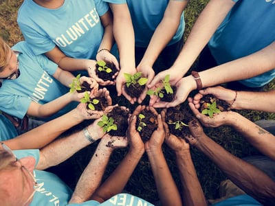 Green plant seedlings being planted by diverse volunteers at a community planting event.