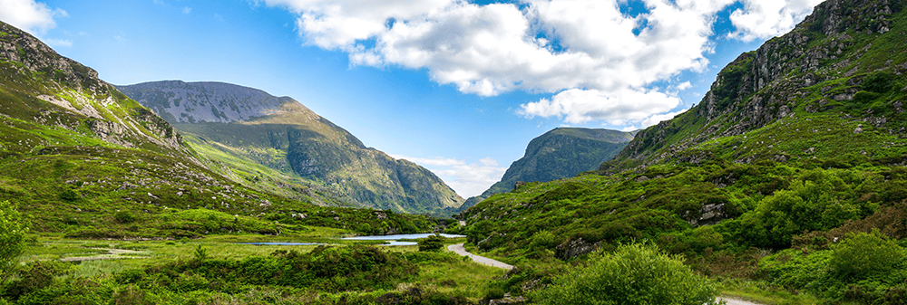 Volunteer exchange program in Ireland with timebanking concepts.