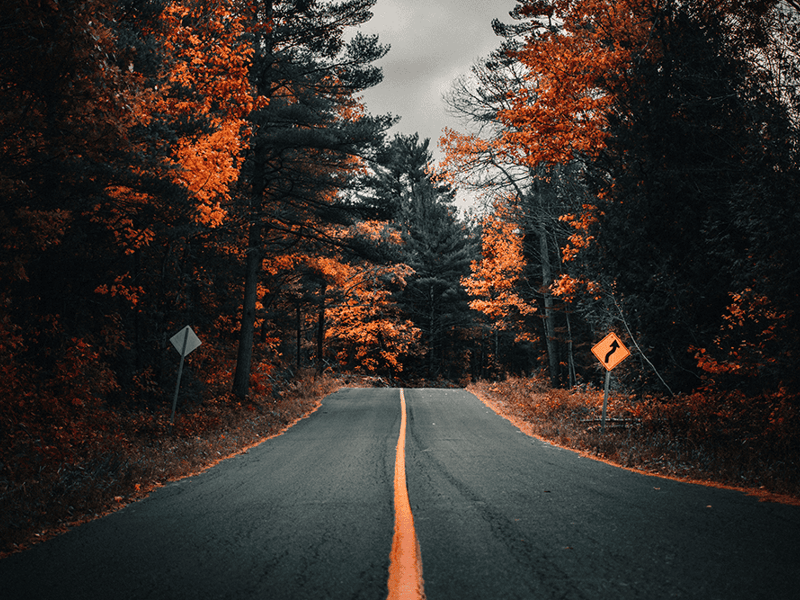 Autumn forest road in Ireland with orange foliage and road signs, representing community and connection.