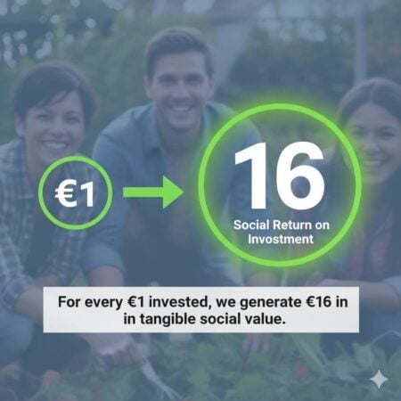 €1 to €16 social return on investment for community and social projects in Ireland.