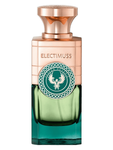 ⁨Electimuss⁩ - ⁨فيسبر ريفيري⁩