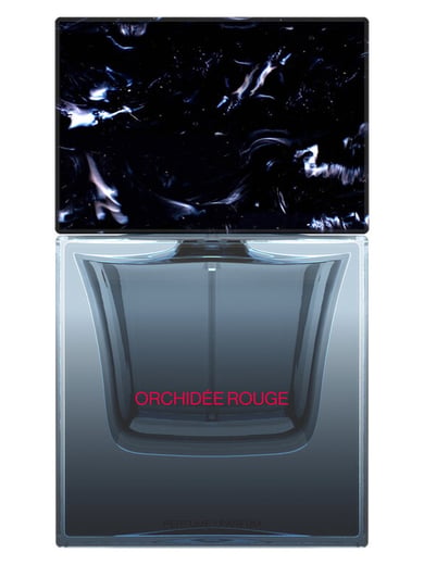 ⁨Sora Dora⁩ - ⁨Orchidée Rouge Sora Dora⁩