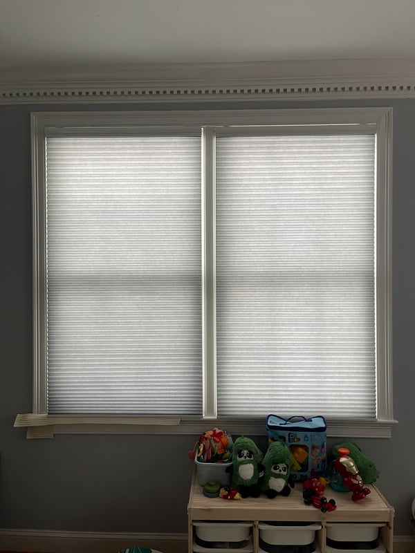Project view 4