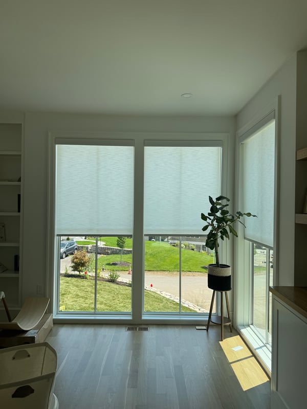 Project view 5